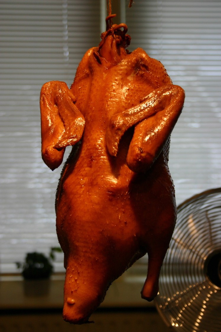 dry_for_5_hours_cropped